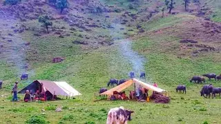 Himalayan Village Life | Rainy Day |Organic Shepheard Food Cooking | Nepali Village Life |