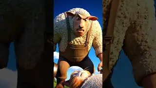 Orange Cat vs Sheep Family 🐱🐑 | Funny Karma Story! #shorts