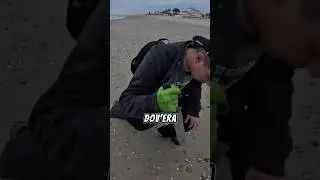 SEGNALINO IMPORTANTE SEGNALINO INTERESSANTE 🤑🩷💎😱 #shorts #metaldetector #metaldetecting #viralvideo