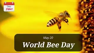 Date Today : 20 May - World Bee Day 2022 | On this day | Know this day