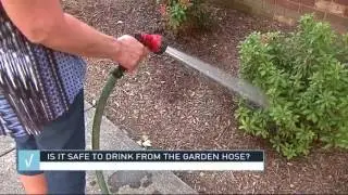 Dangers of drinking from the garden hose