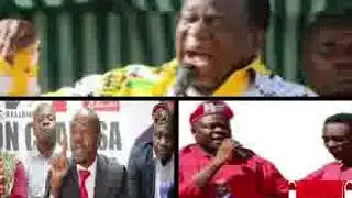 ZIMBABWE NEWS TODAY 23rd OCTOBER