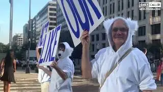 Climate Protesters #ShutDownDC Traffic