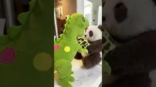 #dinosaur #daspletosaurus #toys #hewandinosaurus #funny #dinosauruskecil