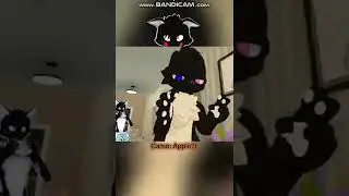 Babyfur Shorts Compilation 1