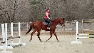 Cobblestone SJ and Flat