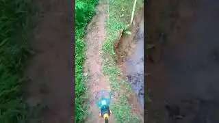 rnyoba metal detector, letsgoo cari hart4
