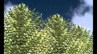 карбоновый период