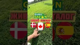 Таййор Газон турлари хакида малумот #сад #стройка #ремонт #дача #топ #garden #огород