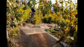 Mogo's best jump trail: Final destination