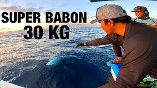 PAGI-PAGI LANGSUNG DIHAJAR SAMA SUPER BABON 30 kg ❗️