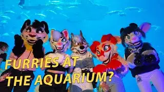 #fursuiting in America's LARGEST #aquarium - Arctic's #furry Weekend #atlanta 2025 Experience!
