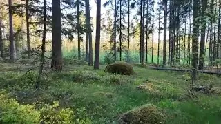 Vale t&auml;hystyskupu ja kaksois korsu naapurina