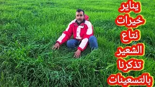 هد الخيرات سنين مشفناها عودة الى الزمن الجميل  منطقة زعير الشعير
