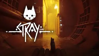Kanalisation | Stray