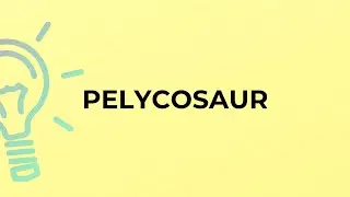What is the meaning of the word PELYCOSAUR?