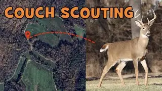 Scout Deer and Turkey from HOME with These Online Tools!