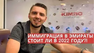 ИММИГРАЦИЯ В ЭМИРАТЫ / СТОИТ ЛИ В 2022 ГОДУ / IMMIGRATION TO THE EMIRATES / IS IT WORTH IT IN 2022