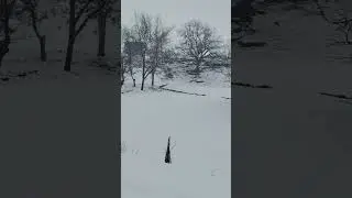 Tirah Valley Maidan District Khyber 2023 Snowfall