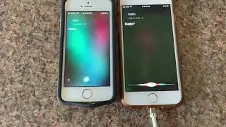 Two Siri&rsquo;s Talking To Each Other