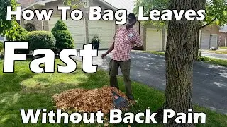How To Bag fallen Leaves Fast and Without causing Back Pain- (A cozy ergonomic Leaf Cleanup Method)