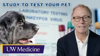 Can you infect your pet with monkeypox? | UW Medicine