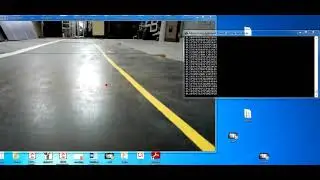 distance (from the car to the line) measured by front camera