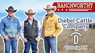 Episode 16 | Inside Diebel Ranches: The System That Makes It Work in the South