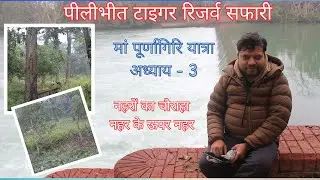 EP 3 - Safari In Pilibhit Tiger Reserve | Points covered in Safari | Bifurcation | Jungle Safari