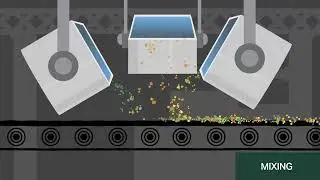 Frozen Vegetable Production Process - Nortera