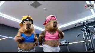 A Day of Energy and Fun! #capybara #cute #cuteanimals #fun #ai #interesting