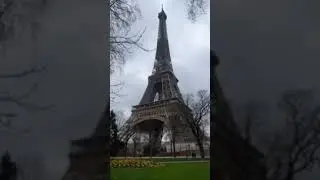 Eifil Tower Ki Khaas Baate &bull; Whatsapp Status &bull; Facts #shorts Mk Official