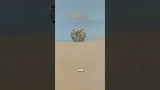 Innovative Mine Detector