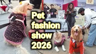 Pet fashion show 2026 / pampers pow / pow Carnival 2026