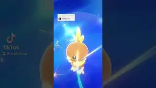 Combusken is kinda sus&hellip;