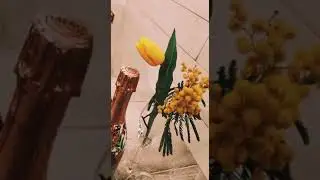 8 Marzo 2022 Ristorante A Volont&agrave;