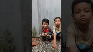 #ambiencevideo