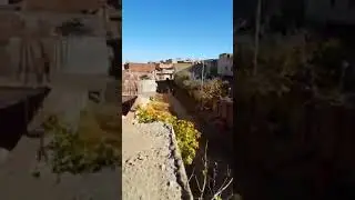 بلدية الظهرة  بث مباشر
