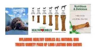 Review Nylabone Healthy Edibles All Natural Dog Treats Variety Pack of Long Lasting Dog Chews