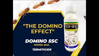 Domino  5SC Termicide