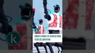 Robots dance with people at Chinese New Year celebration