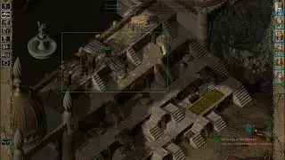 Baldur's Gate II: Shadows of Amn (Story Mode) - 28. The Funeral of Nalia's Father
