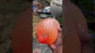 JUMPING ON WATER BALLOON TRICK! AMAZING BALLOON TRICK #short #Ep288
