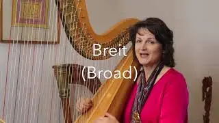 Course on Hindemith Sonata for Harp