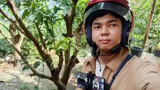Terlahir kembali