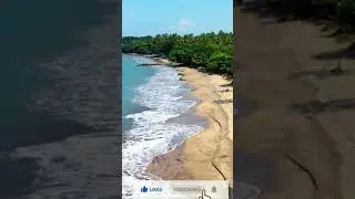 Beach Ocean with Palm Tree || Water Wave Palm || Sea Side View || Short Video || Afzal Tanoli Voice