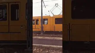 #tram #hungary #Budapest #europe #travelvlog #trendingshorts #youtubeshorts