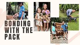 Bonding with the pack 🐶🐕🐾🦴