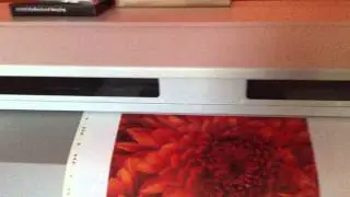 Epson Surecolor S30670 Printer - Sample Print