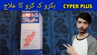 BAKRO K KIRO KA ILAJ || CYPER PLUS || ENCURE 10 || CEF ONE || ALI BAKRA FARM || COW KA ILAJ